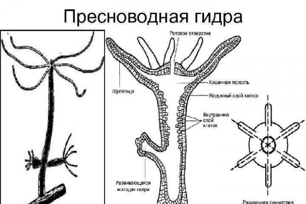 Ссылка на кракен онион