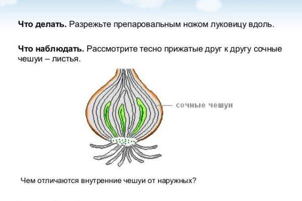 Кракен вход официальный сайт