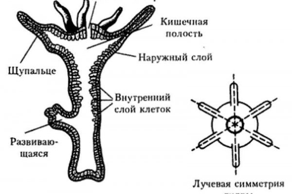 Где купить наркотиков